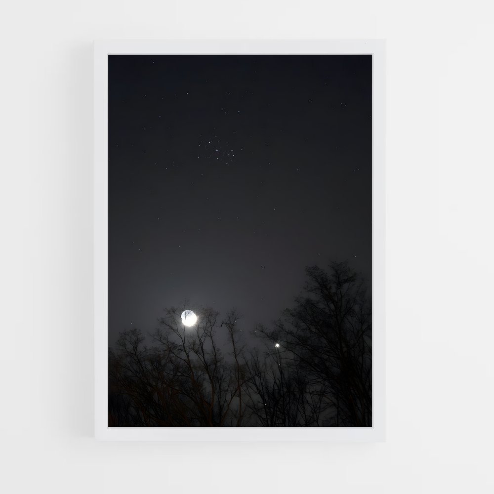 Poster Petite Ourse Étoilée – affiche Constellations (vue 3)